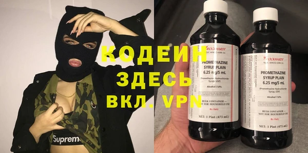 шишки Горнозаводск