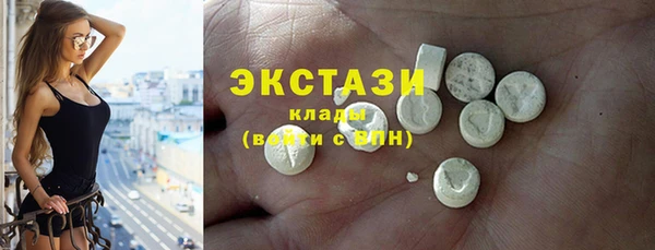 индика Горняк