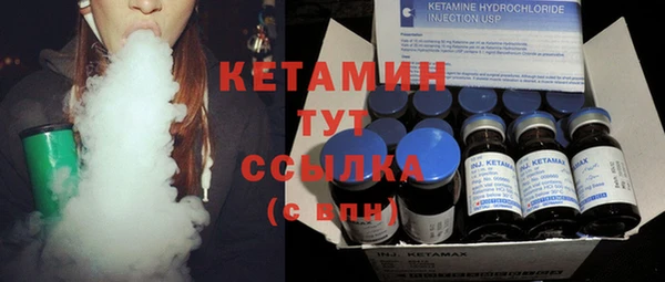индика Горняк