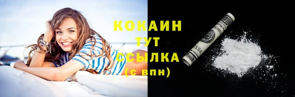 индика Горняк