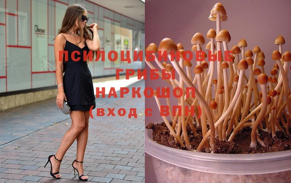 2c-b Гусев