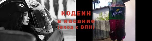 шишки Горнозаводск