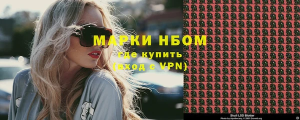 индика Горняк
