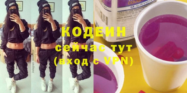 индика Горняк