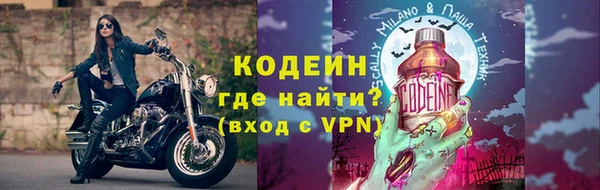 индика Горняк